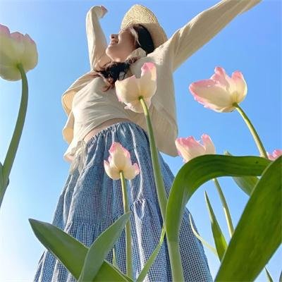 仙王的日常生活第四季