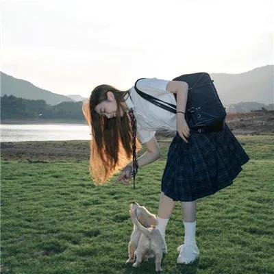特禽鲨龙